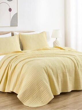 3 piece queen Quilt Set in Pale Yellow